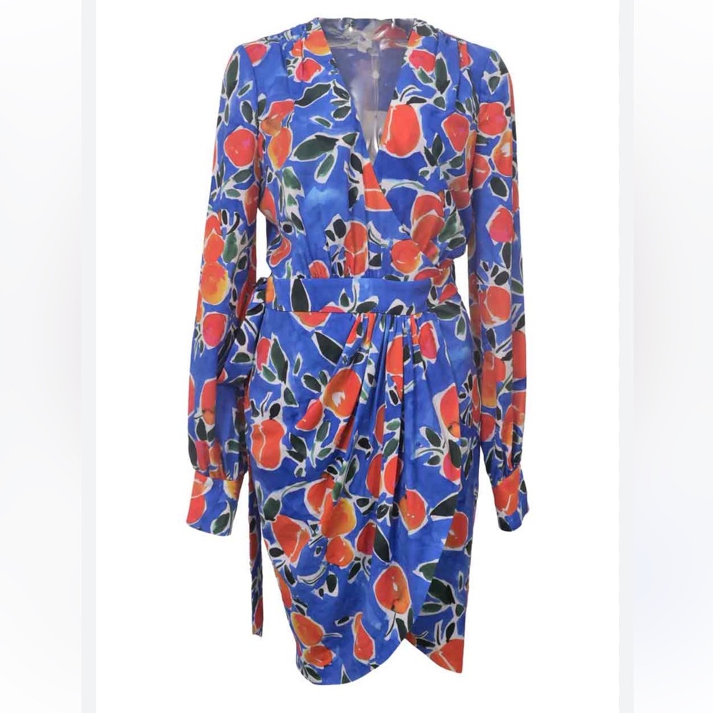 Jonathan Simkhai Blue and Orange Floral Citrus  Long Sleeve Dress - size 6 - EUC